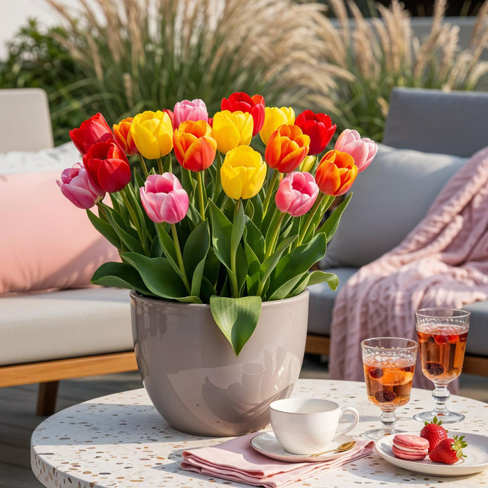 Bloembollen - Tulp Darwin Hybride Mix - Diversen Kleuren - 40 stuks - Bolmaat 10/12