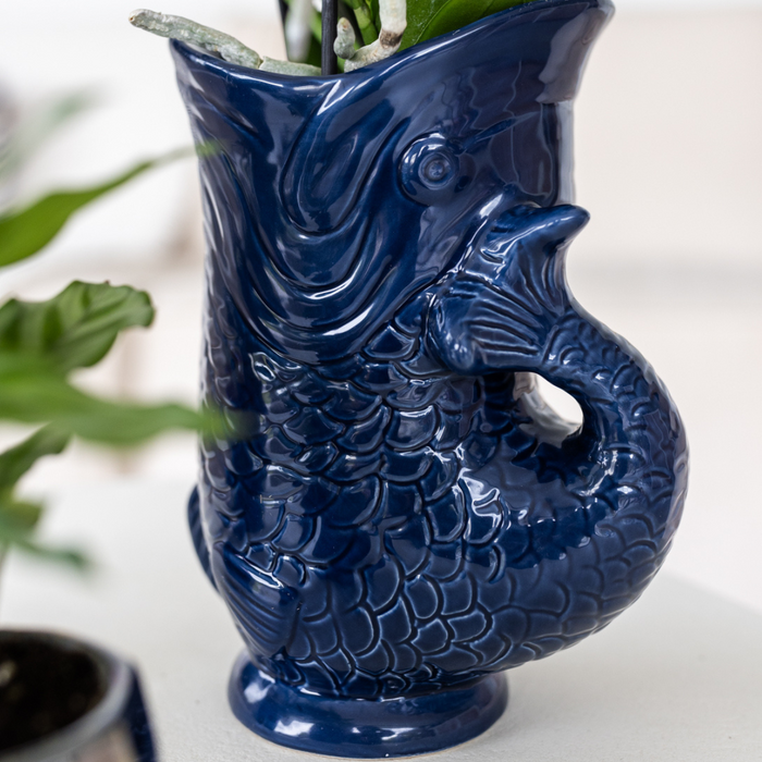 Set van Gele orchidee Lima en succulenten in keramieken sierpotten - potmaat Ø9cm & Ø6cm | bloeiende kamerplant - vers van de kweker