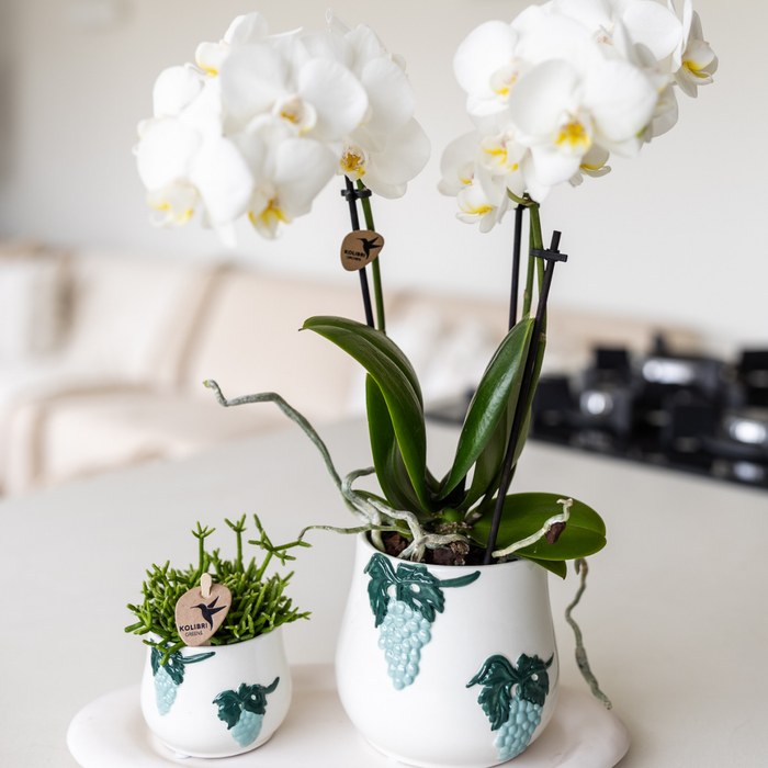 Kolibri Home I Grape pot - Blue - Ø9cm