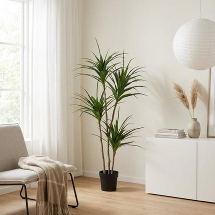 Sztuczna roślina Dracaena - ↕165cm