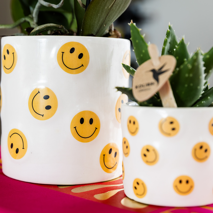 Kolibri Company | Smiley Plant Set | Yellow Phalaenopsis Orchid Albenga Ø9cm and Succulent incl. ceramic decorative pots