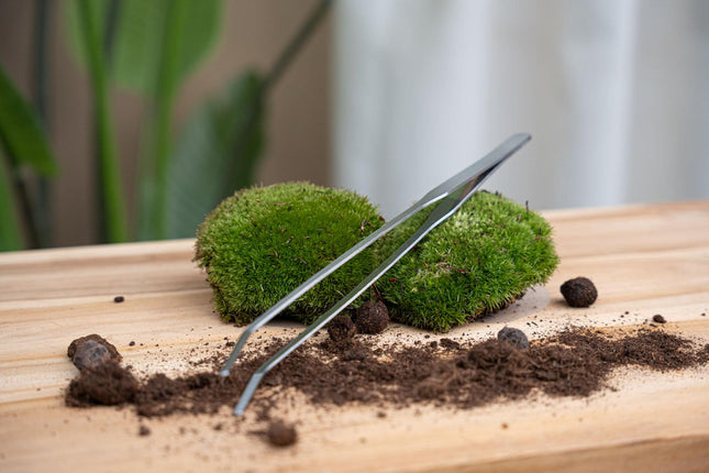 Terrarium tweezers - Metal - 26 cm long