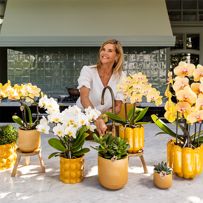 Kolibri Home | Cotton Shine sierpot - Yellow - Ø9cm