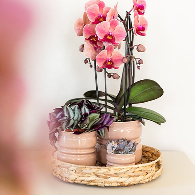 Kolibri Home | Noma sierpot - Oudroze - Ø6cm