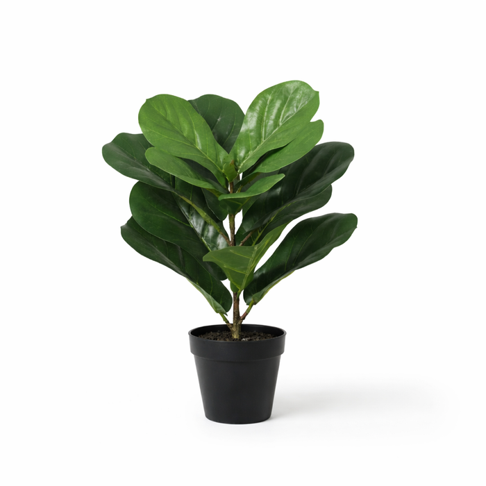 Kunstplant Ficus lyrata - ↕40cm