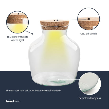 Terrarium fles met LED-verlichting - Gesloten terrarium - Little Joe - ↑ 22 cm - Ø20cm