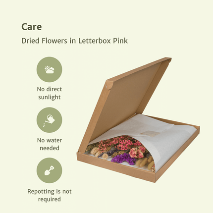 Dried flowers in Letterbox - Pink