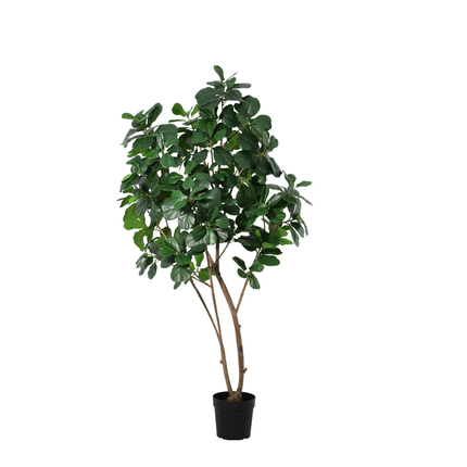 Kunstplant Ficus Lyrata boom - ↕180cm