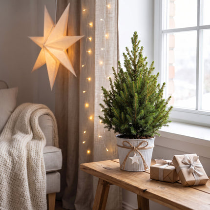 2x Picea glauca Conica - Kegelspar - Groen - Kerstboom - incl. zinken pot - Ø17cm - ↕65cm