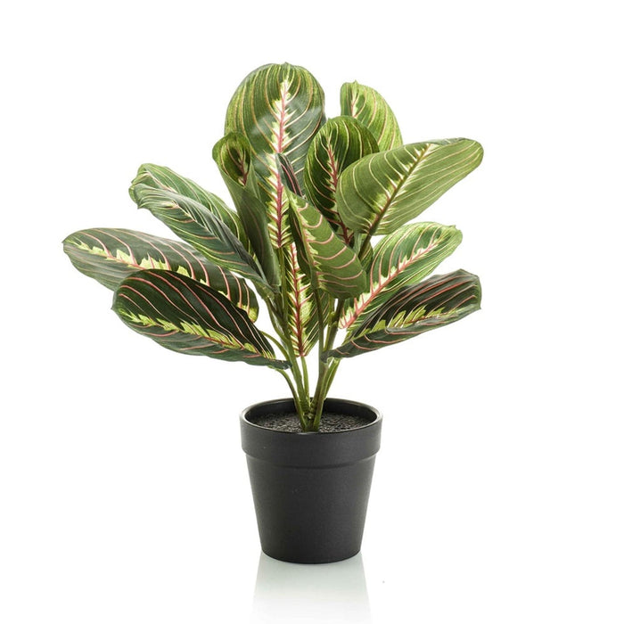 Maranta groen - Kunstplant - 30cm - In zwarte pot