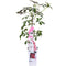 Wild Virginia Creeper