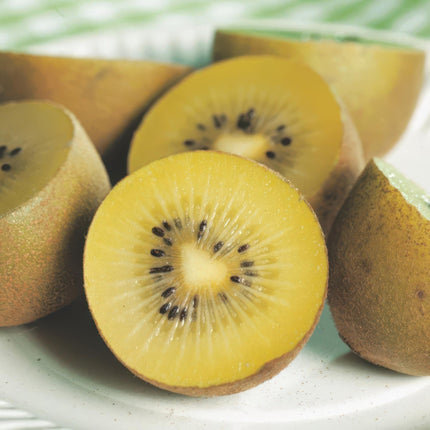 Gele Kiwiplant - Actinidia deliciosa Golden Kiwi - Gele Vrucht - ↕50cm - Ø15cm - 2x