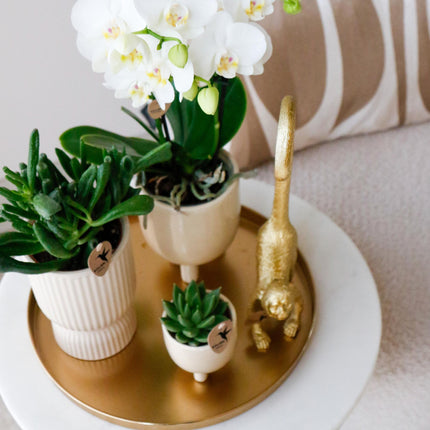 Kolibri Home | Decoratieschaal - Rond gouden dienblad Ø30cm