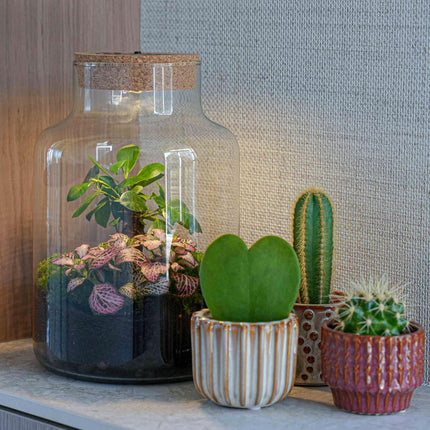 LOVE MOM' terrarium Little Milky + engraved cork with light - Bottle terrarium DIY kit - Ø 17 cm ↑ 25 cm - Mother's Day