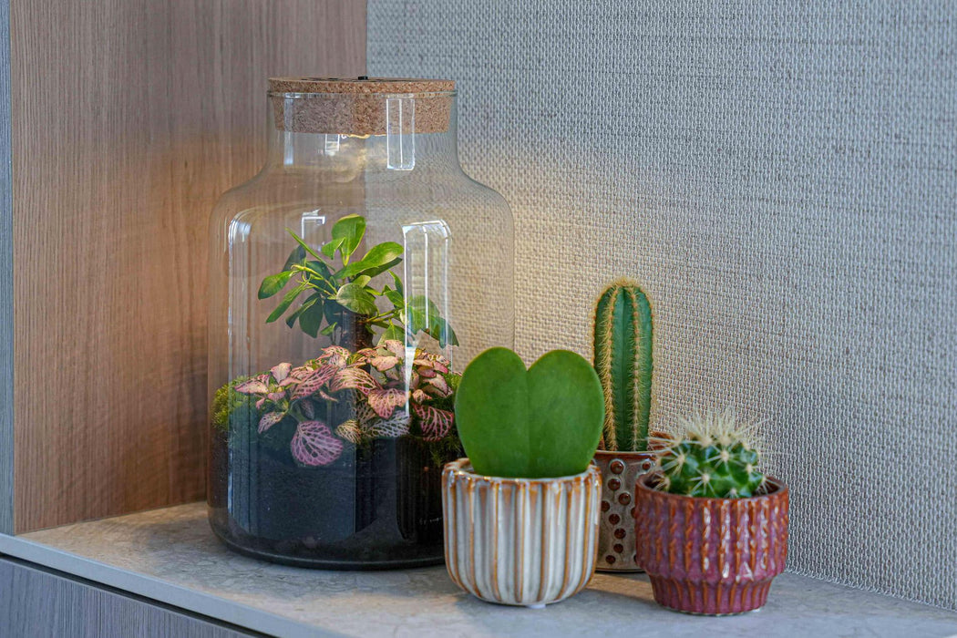 'LOVE MOM' terrarium Little Milky + gegraveerde kurk met licht - Fles terrarium DIY kit - Ø17cm - ↕25 cm - Moederdag