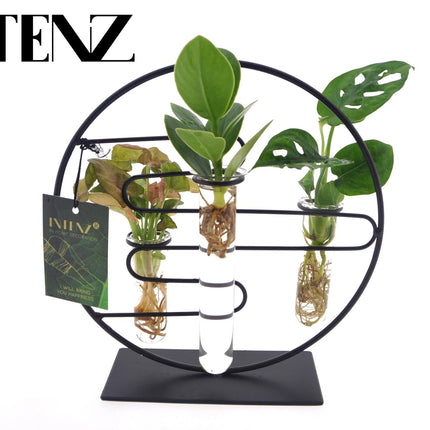Kamerplanten Intenz Mix In Dubai 2.0 Glas - ↕25cm - Ø12cm