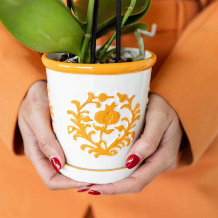 Gift set | Plantenset met 2 oranje Phalaenopsis Orchideeën en Succulent incl. keramieken sierpotten
