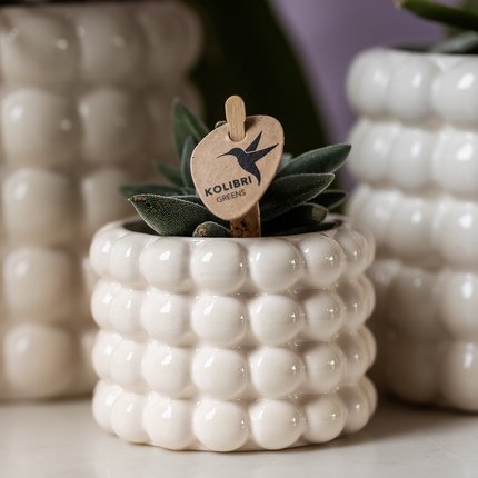 Kolibri Home | Doniczka dekoracyjna Poppy - biała - Ø6 cm