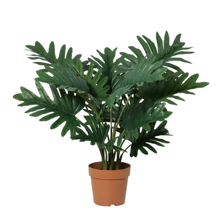 Sztuczna roślina Philodendron Selloum - ↕70cm