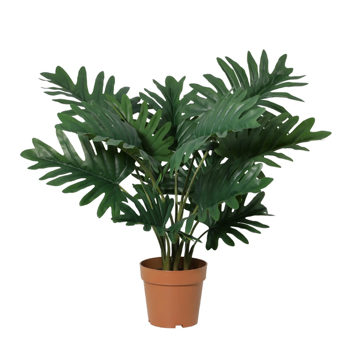Kunstplant Philodendron Selloum - ↕70cm