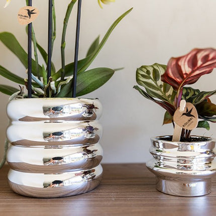 Kolibri Home | Glow sierpot - Zilver - Ø9cm