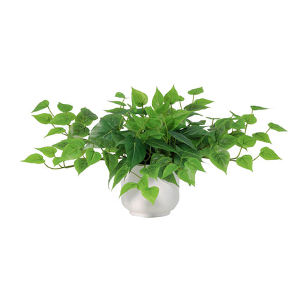 Kunstplant epipremnum in witte pot