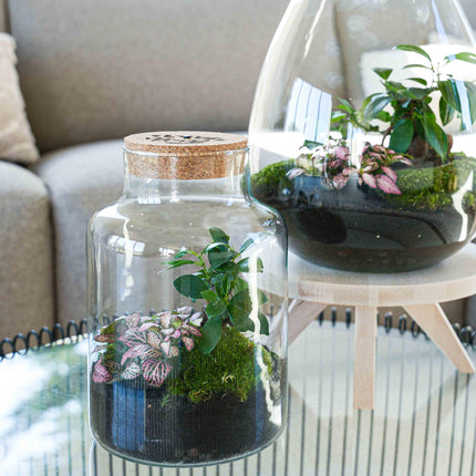 LOVE MOM' terrarium Little Milky + engraved cork with light - Bottle terrarium DIY kit - Ø 17 cm ↑ 25 cm - Mother's Day