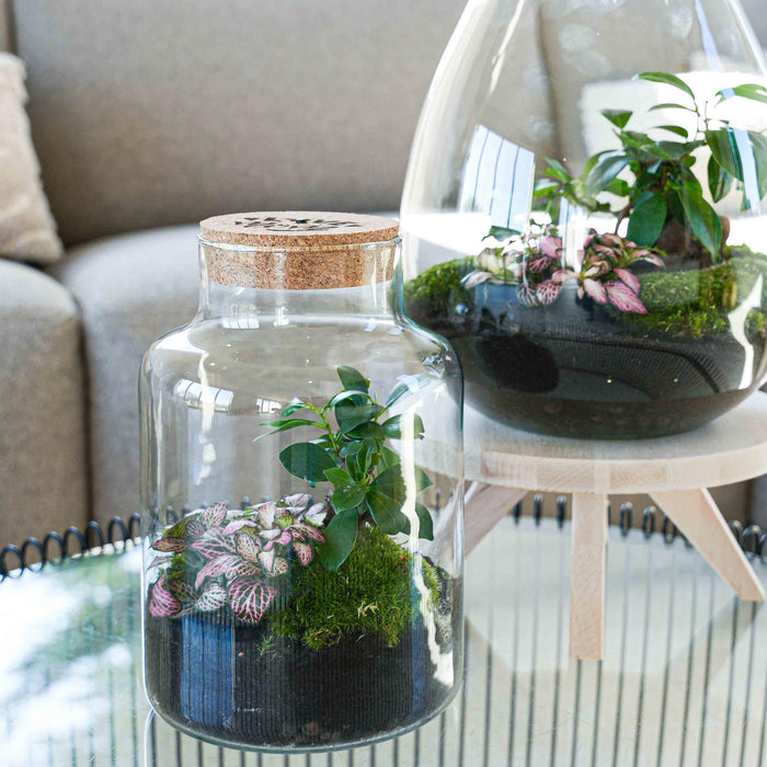 'LOVE MOM' terrarium Little Milky + gegraveerde kurk met licht - Fles terrarium DIY kit - Ø17cm - ↕25 cm - Moederdag