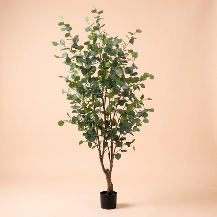Plante artificielle - Eucalyptus - ↕140cm