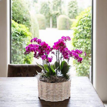 Kolibri Home | Oyster schaal - Ø30 cm