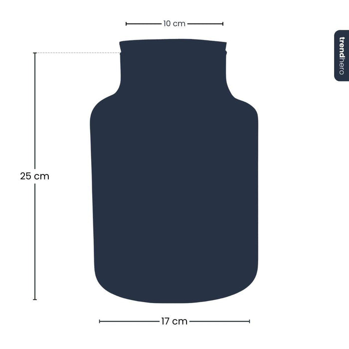 Frosty Kerstmis terrarium - Planten terrarium  DIY kit Christmas - Ø17cm - ↕25cm