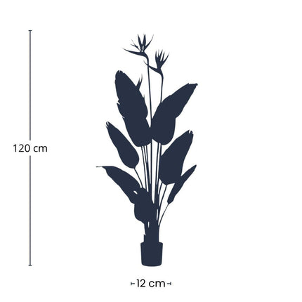 Sztuczna roślina Strelicja z kwiatami - W czarnej doniczce - ↕120 cm