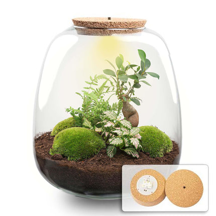 Terrarium pour plantes - Emma - Kit à monter soi-même - ↕25 cm - Ø23 cm - Rose Bonsaï