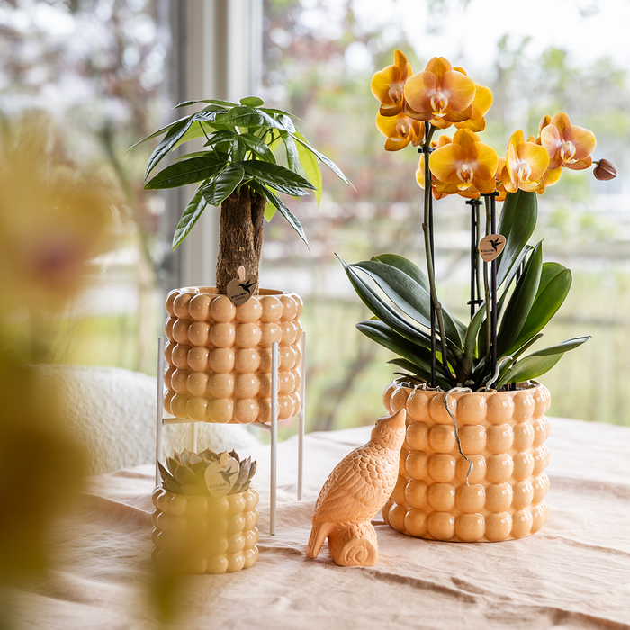 Kolibri Home | Poppy sierpot - Peach - Ø12cm