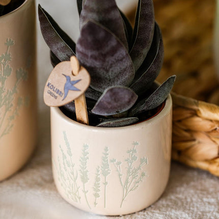 Kolibri Home | Doniczka kwiatowa - jasnoniebieska - 6 cm