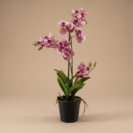Kunstig Vanda Orchid i potte - 60cm
