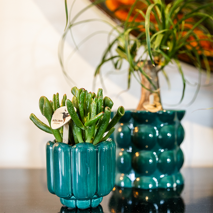 Kolibri Home | Cotton Shine decorative pot - Green - Ø9cm