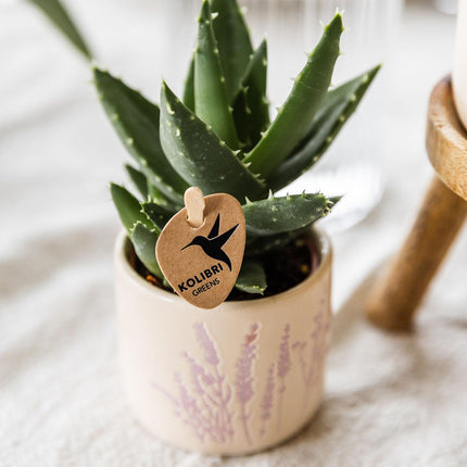 Kolibri Home | Doniczka na kwiaty - Lawenda - 6 cm