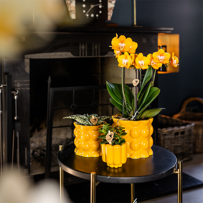 Kolibri Home | Cotton Shine sierpot - Yellow - Ø9cm