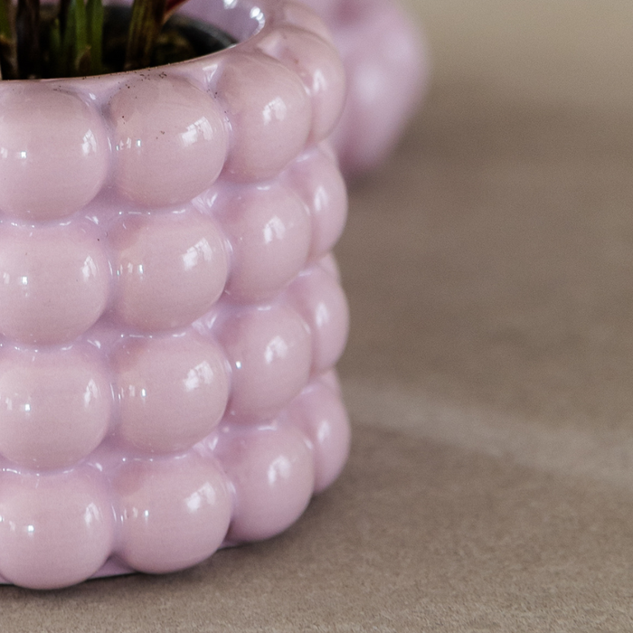 Kolibri Orchids | Roze Niagara Falls orchidee + Poppy roze sierpot – Ø12cm | bloeiende kamerplant