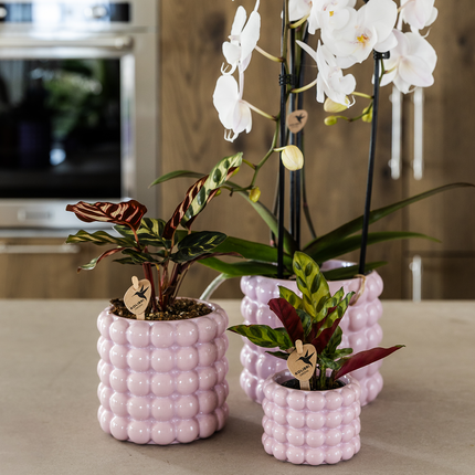 Kolibri Home | Poppy decorative pot - Pink - Ø9cm