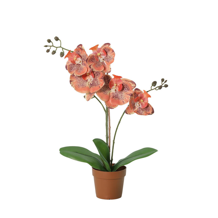 Plante artificielle Phalaenopsis orchidée orange - ↕41cm