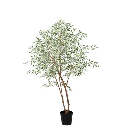 Kunstplant Ficus benjamina variegata - ↕185cm