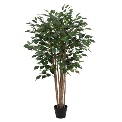 Artificial Ficus Benjamina plant - ↕150cm