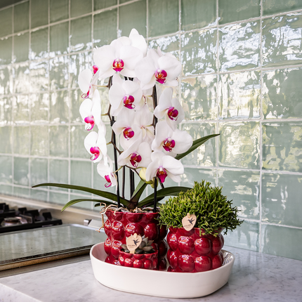 Kolibri Home | Cotton Shine decorative pot - Red - Ø12cm