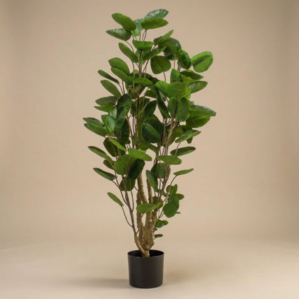 Kunstplant - Polyscias boom - ↕105cm