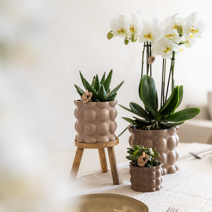 Kolibri Home | Doniczka dekoracyjna z bawełny - Piasek - Ø6 cm