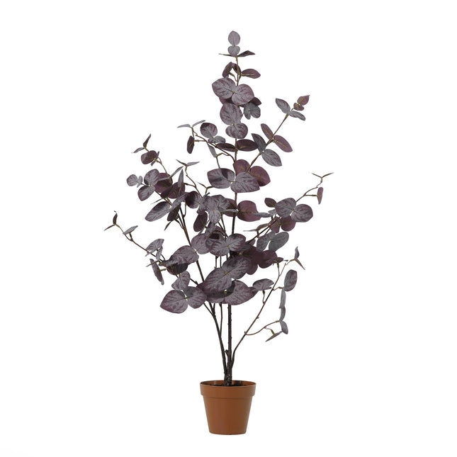 Pianta artificiale di eucalipto viola - ↕86cm