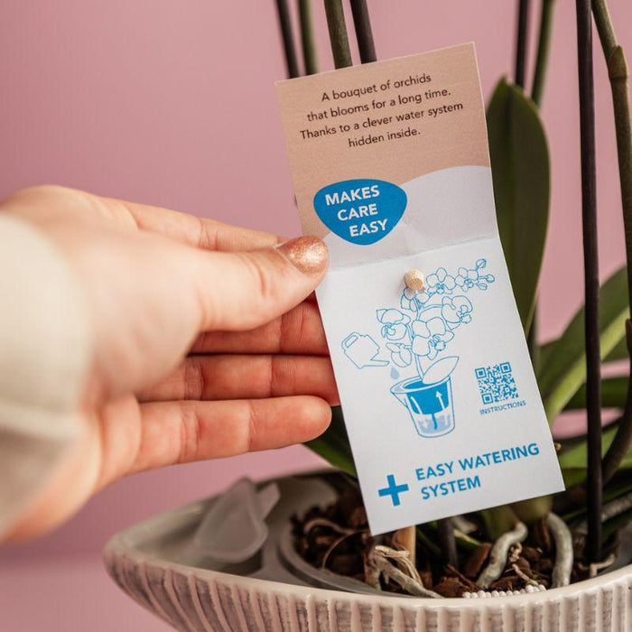 Kolibri Home | Como sierpot incl. watergeefsysteem - 3x Ø12cm