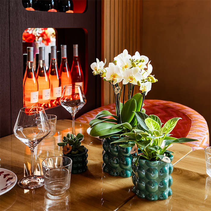 Kolibri Home | Cotton Shine sierpot - Green - Ø9cm